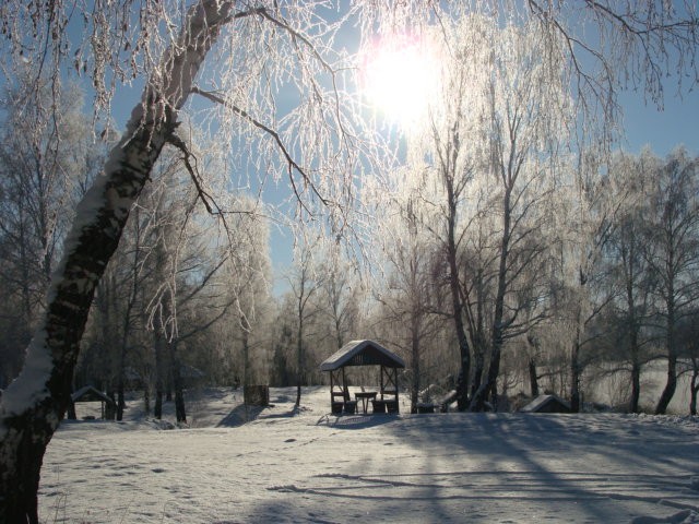 Отдых в Шарыпово (фото 67)